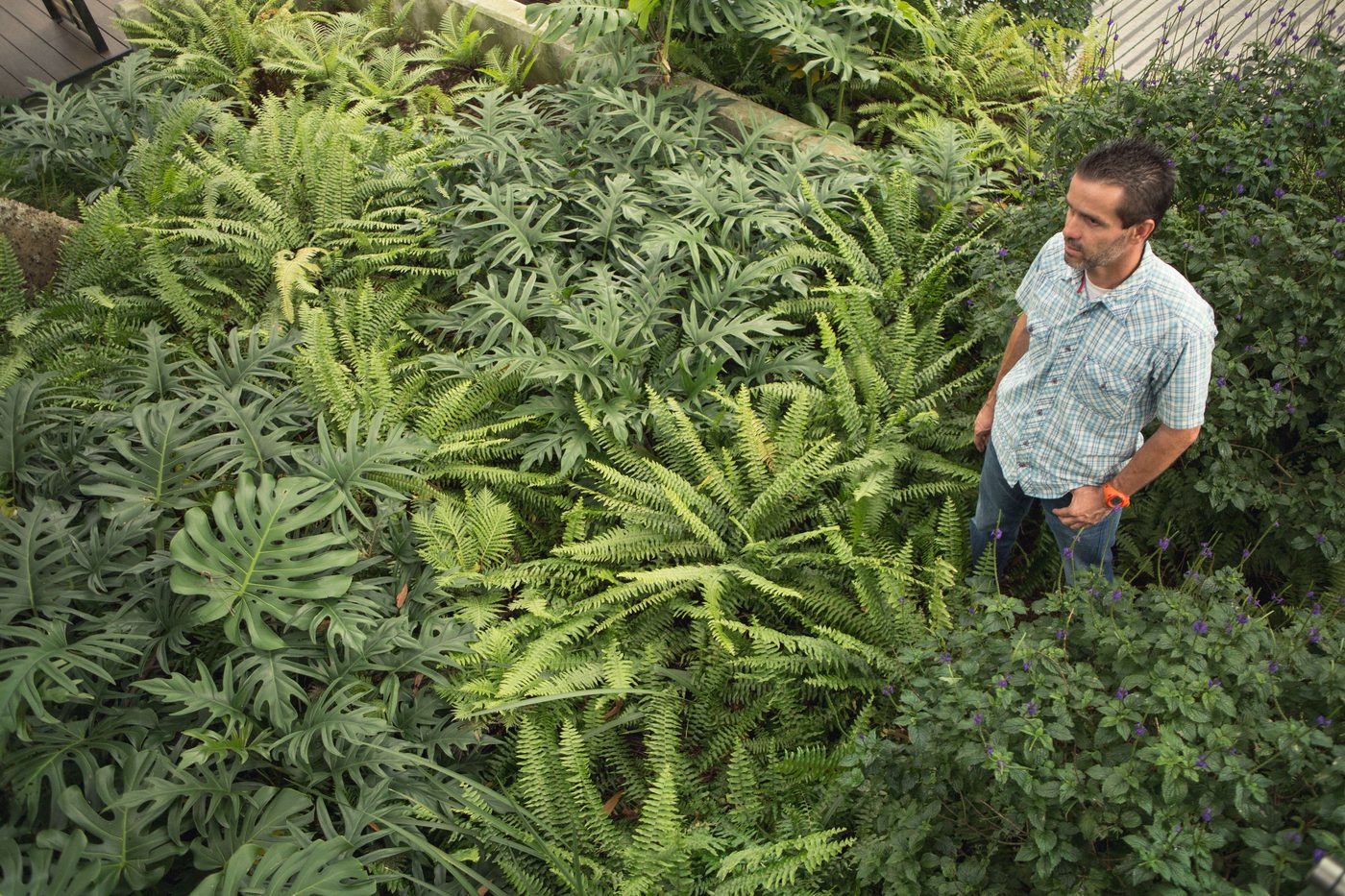 Jardines de interior sin misterios